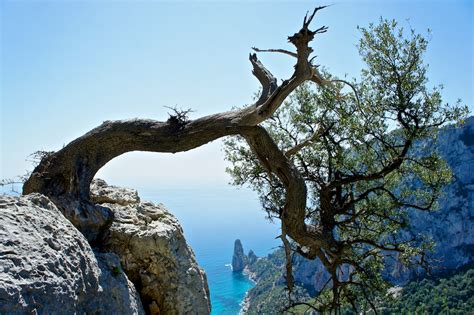 Exploring The Wilds Of Sardinia