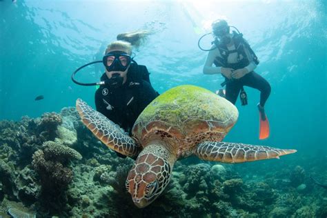 Great Barrier Reef Cruise With Scuba Diving Cairns Adrenaline