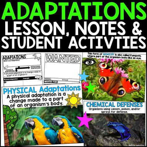 If they adapt, they will survive to have babies, and new plants or animals will grow. Adaptations Lesson in 2020 | Physical adaptations ...