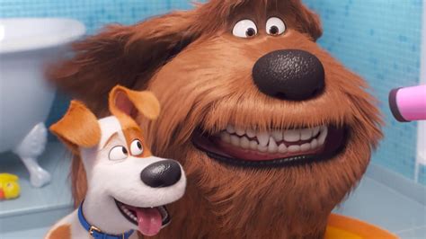 The Secret Life Of Pets 2 Movie Review Kids Only Affair The Mercury