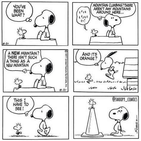 Pin By Donna Atchley On Snoopy Snoopy Comics Snoopy And Woodstock