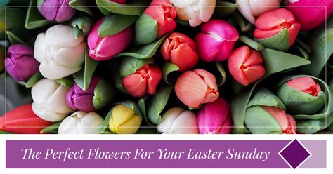 Buy Flowers Pasadena The Perfect Flowers For Your Easter Sunday