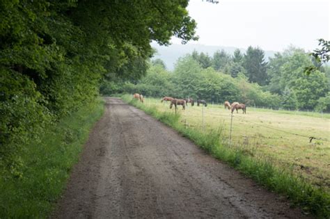 Durch rudolf pörtner einen begehrten gegenpol in der beschwörung der nähe (generalanzeiger bonn). Limes-Radweg von Bad Hönningen nach Regensburg: Abschnitt ...