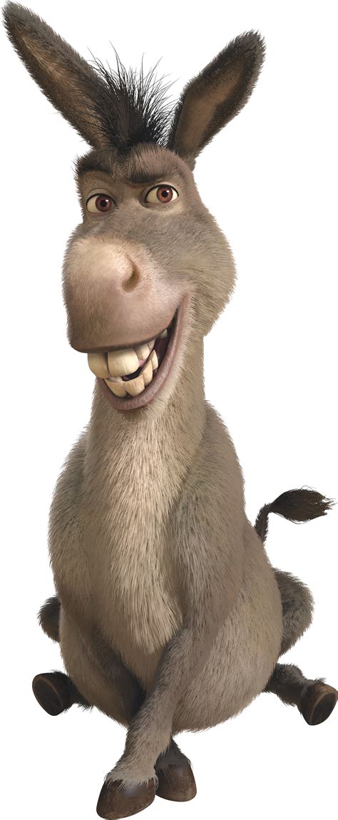 Donkey Png Transparent Image Download Size 1258x3054px
