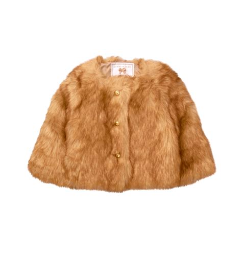Fur Coats Brown Png Image Purepng Free Transparent Cc0 Png Image