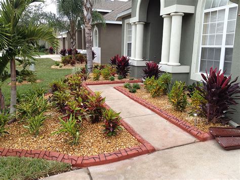 Front Yard 2 Oasis Palms And Landscaping