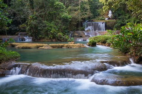 10 Best Things To Do In Jamaica What Is Jamaica Famous For Go Guides