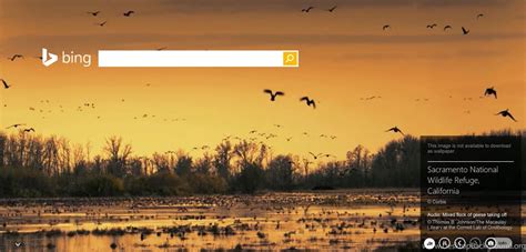 Microsoft Bing A Search Engine With Stunning Wallpapers And Now