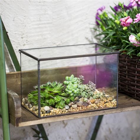 Handmade Rectangle Clear Glass Geometric Terrarium Box With Lid For