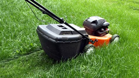 Sheriff Naked Couple Arrested On Stolen Lawn Mower
