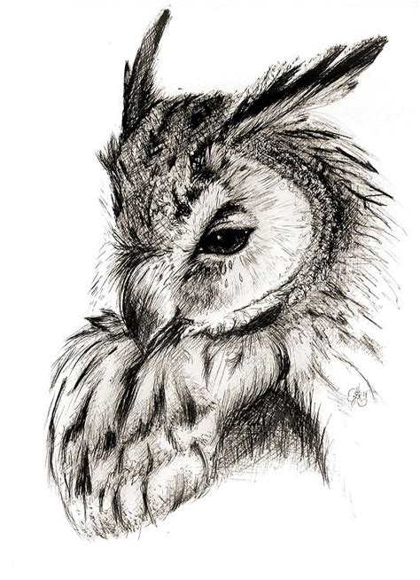 Great Horned Owl 1 Drawing By Scarlett Royal Pixels