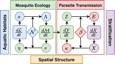 Unveiling The Spatial Dynamics Of Malaria Transmission A Patch Based Modeling Framework Cbirt