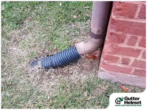 Buried Downspout Drain Cleaning — Done Gutter 43 Off
