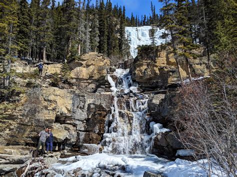 Tangle Creek Falls Icefields Parkway A Walk And A Lark