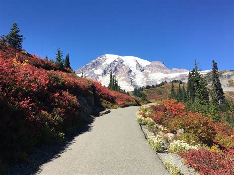 These 7 Magical Washington Trails Are Full Of Wildflowers And Waterfalls