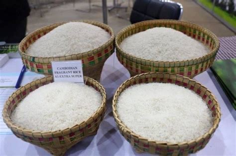Cambodia Paid Nearly 50 Millions In Rice Export Tariffs To Eu