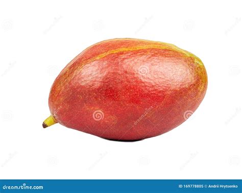 Red Mango Fruit Stock Image Image Of Healthy Dessert 169778805