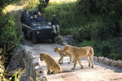 What Your Travel Agent Should Tell You About The Kruger Park Discover