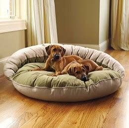 It's durable, supportive, and the ideal place to this luxe dog bed by big barker will allow your big dog to spread out and sleep in absolute comfort. Different Types Of Dog Beds For Large Dogs That Offer Cozy ...