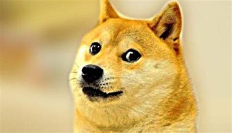 The cryptocurrency dogecoin (crypto:doge) is the talk of the town right now. Dogecoin stijgt met honderden procenten - Apparata