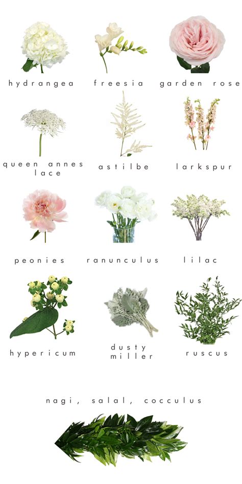 The name fern (or fearne) symbolises humility and sincerity. My Sisters Wedding: Floral inspiration with Fifty Flowers ...