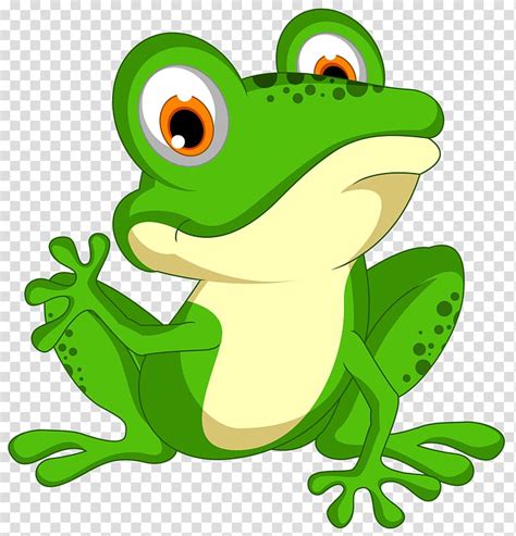 Green Frog Illustration Frog Green Frog Transparent Background Png