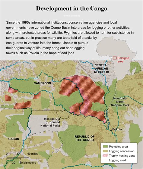 How Sustainable Development Ravaged The Congo Basin Scientific American