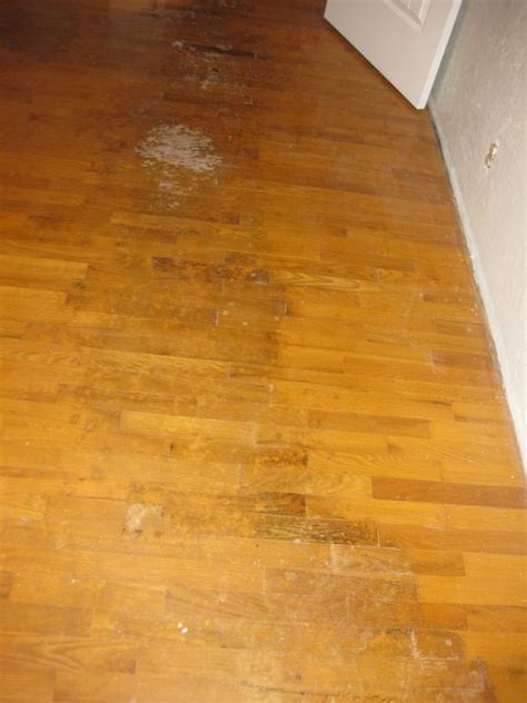 Maybe you would like to learn more about one of these? How to Varnish a Wooden Floor? - Wood Finishes Direct