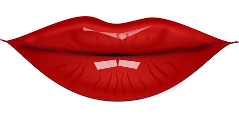 Lip Mouth Clip Art Lips Png Download 512512 Free Transparent Lip