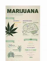 Images of How Does Marijuana Affect The Body