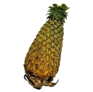 GI Tagged Vazhakulam Pineapple - GI Tagged from of India