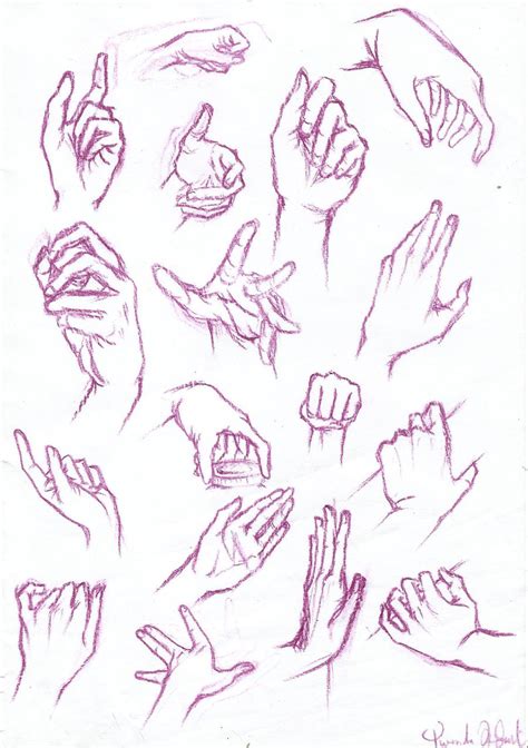 Anatomy Study Hands By Yuuyumori On Deviantart