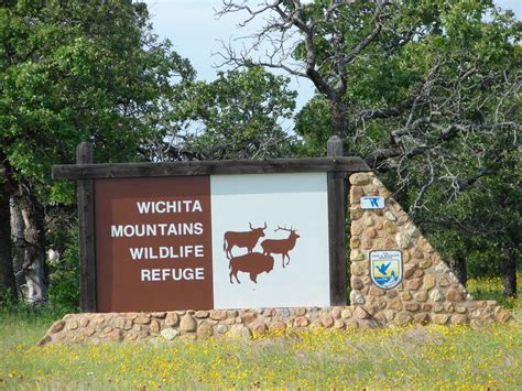 Lawton Ok Wichita Mountains Wildlife Refuge Photo Picture Image