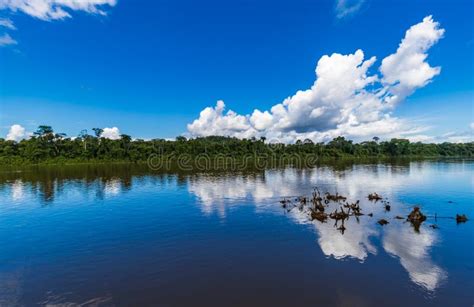 Blue Sky With Clouds Reflecting On Roots Sprouting From The Suriname