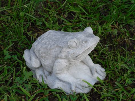 Cement Frog Statue Frogs Garden Frogs Patio Statues Garden