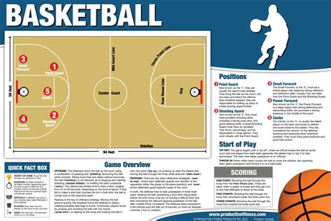 School Posters For Sports Basketball Pe Pe Physed Gym Class