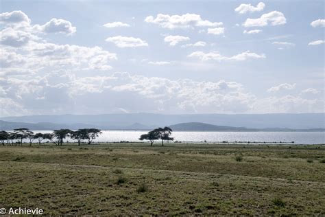 Why To Visit Lake Naivasha Kenya