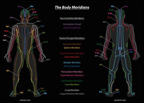 Qigong Students Heres How To Make Sense Of The Meridians