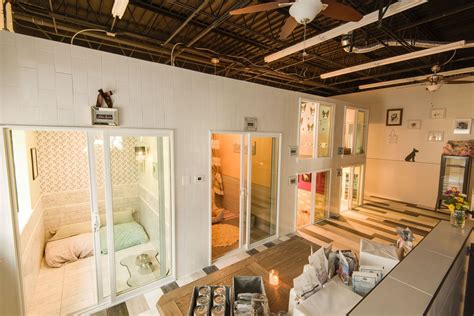 The app allows the user to add new owners and pets to the database, and also allows check in/out and delete functionality. Adams Morgan's new luxury pet hotel to open around August ...