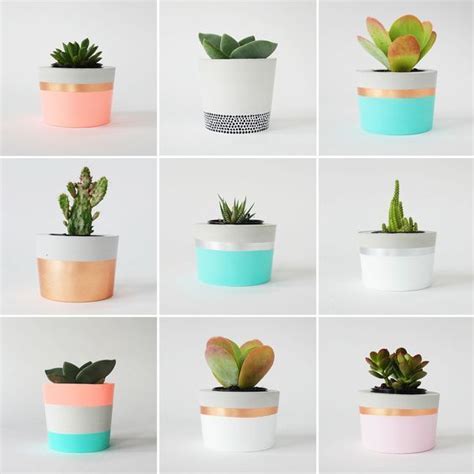 Plant Life Coral And Herb These Planters Are Beautiful Potentially A
