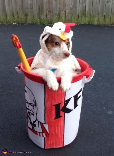 KFC Chicken Bucket - DIY Costume Ideas for Dogs | Last Minute Costume Ideas