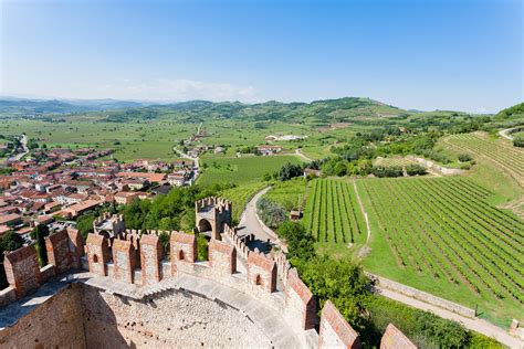 Soave Winemaking Region Named Agricultural Heritage of Global Significance by FAO | ITALY Magazine
