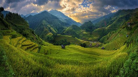 Rice Fields On Terraced Of Mu Cang Chai On Sunset Vietnam Tourism