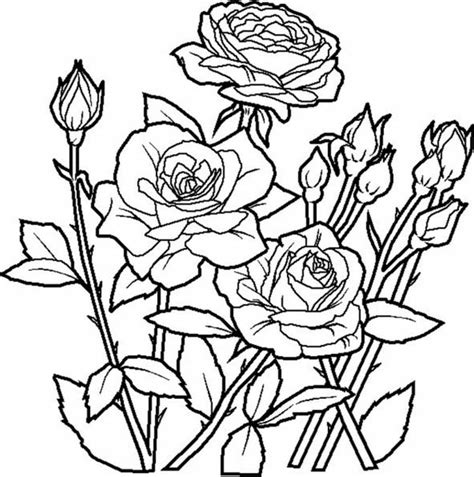 Find more rose bouquet coloring page pictures from our search. Elegant Roses For Beautiful Flower Bouquet Coloring Page ...