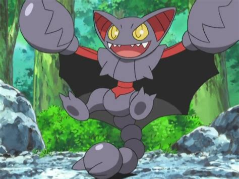 Pauls Gliscor Pokémon Wiki Fandom Powered By Wikia
