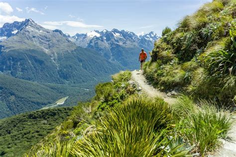 Running Routeburn Track The Alpine Adventure In New Zealand