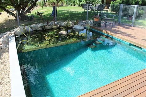 Diy Pool How To Build A Natural Swimming Pool Impressive Interior Design Natural Swimming