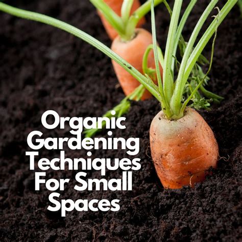 10 Organic Gardening Techniques For Small Spaces Organic Gardening