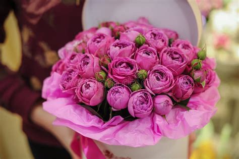 Big Bright Pink Roses Bouquet In Round Box Stock Photo Image Of