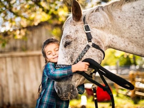 Equitación Para Niños Todo Lo Que Debes Saber Si Tu Hijo Quiere